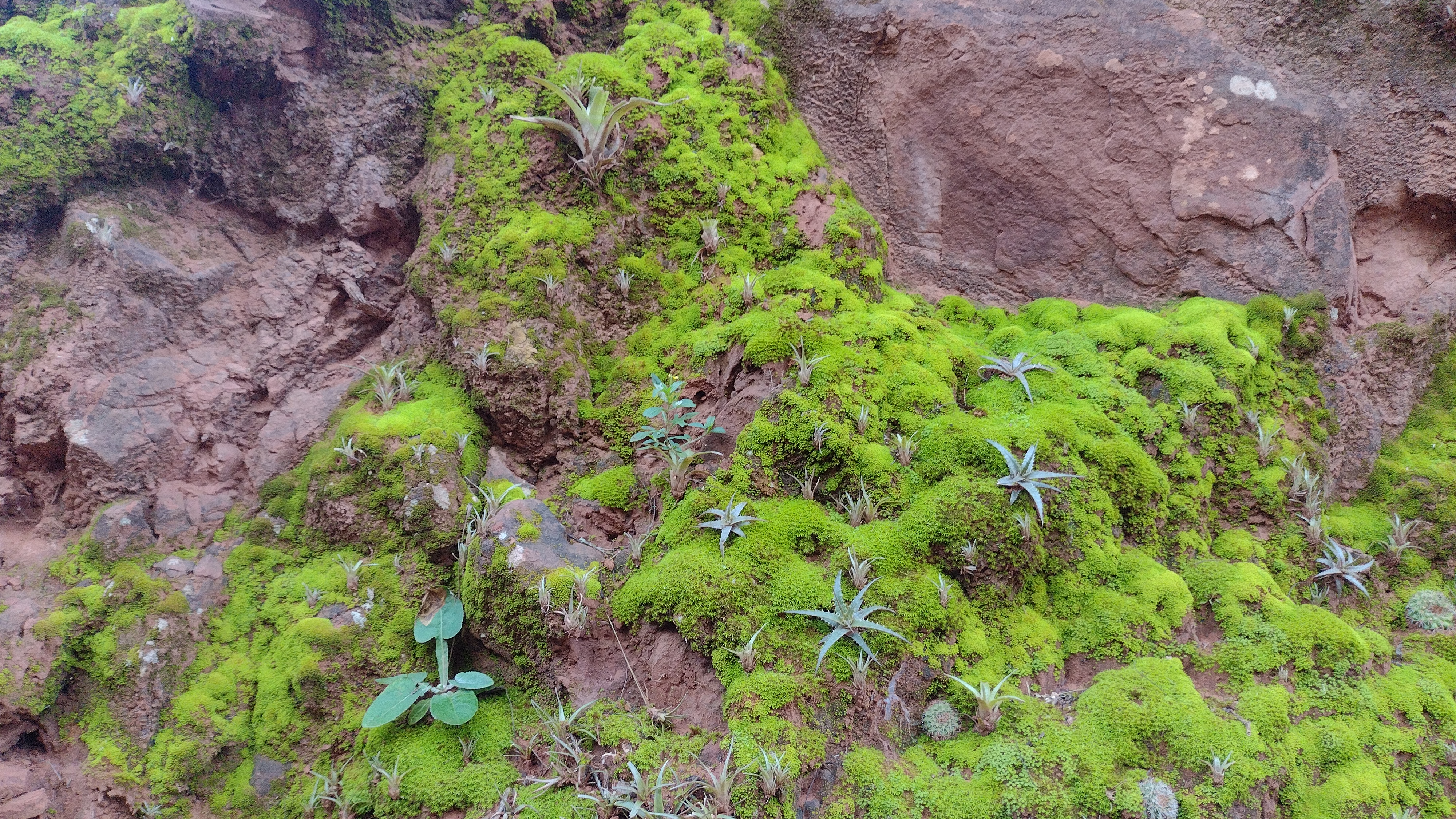 About Periphery in Transient Labs